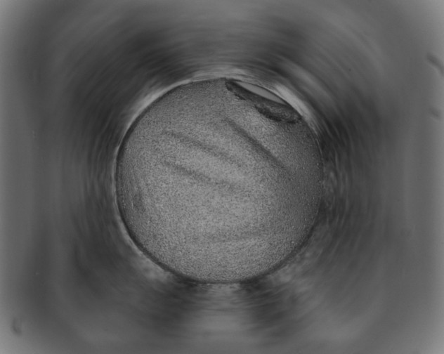 X0000091231055200709061515
