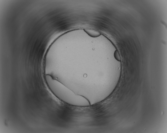X0000091231056200709061515