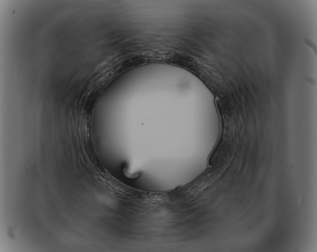 X0000091231058200709061515