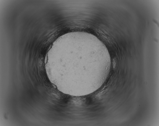 X0000091231059200709061515