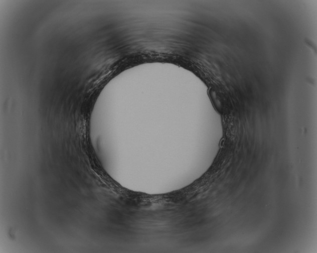 X0000091231061200709061515