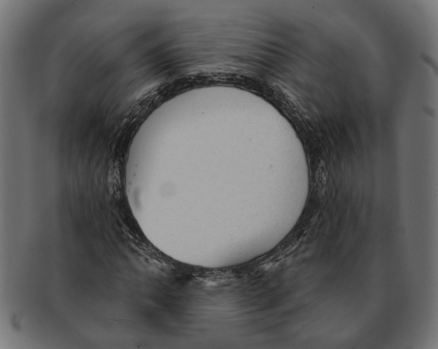 X0000091231062200709061515