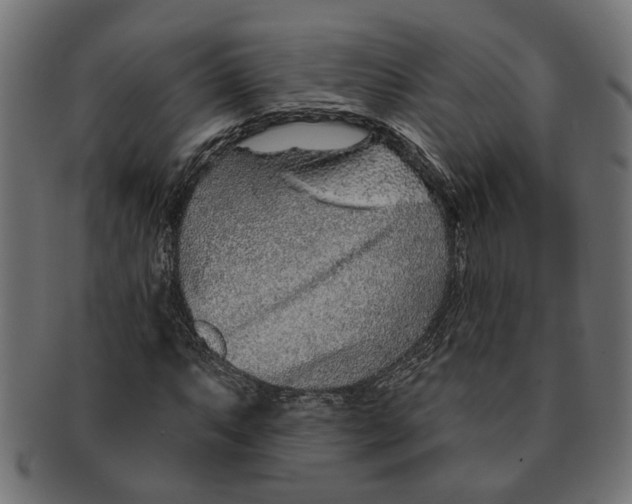 X0000091231063200709061515
