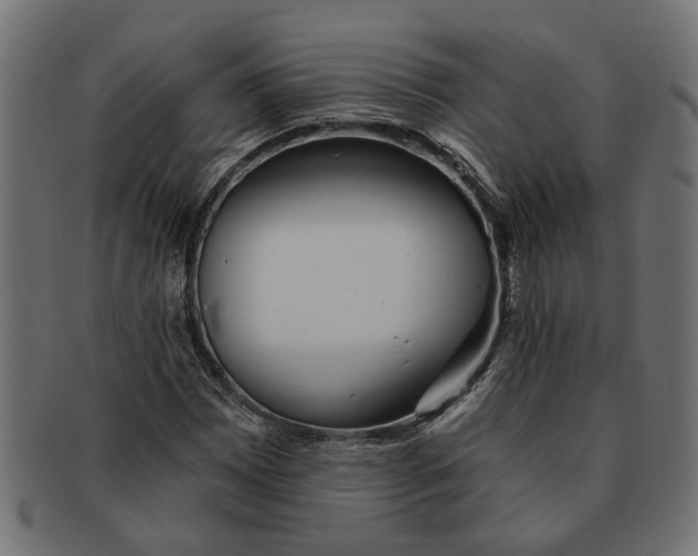 X0000091231065200709061515