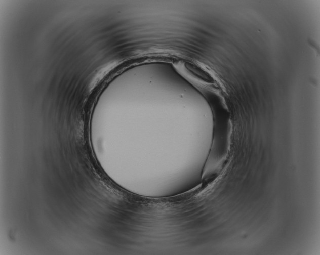 X0000091231066200709061514