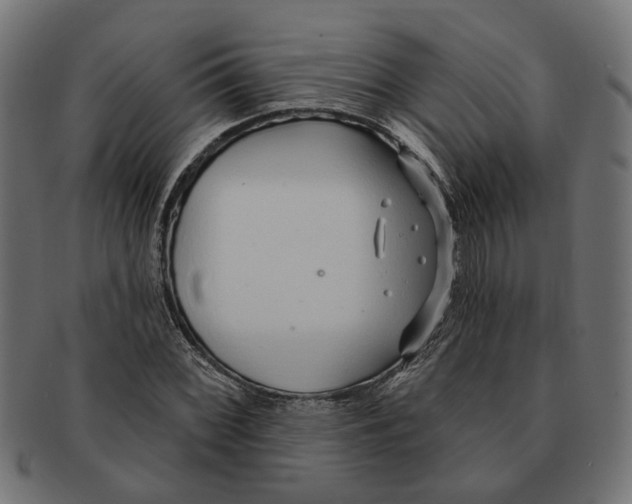 X0000091231068200709061514