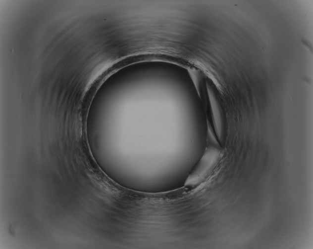 X0000091231069200709061514