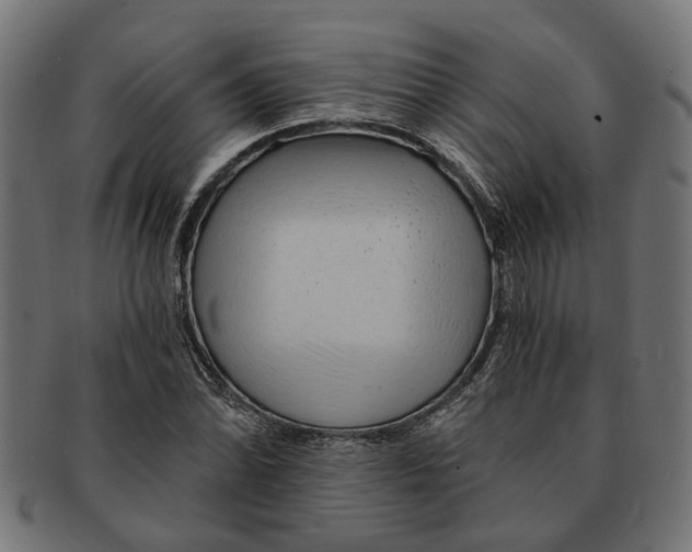 X0000091231070200709061514