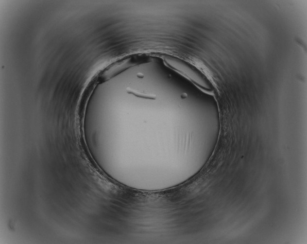 X0000091231072200709061514