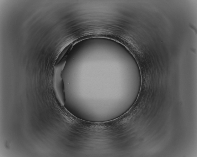 X0000091231073200709061514