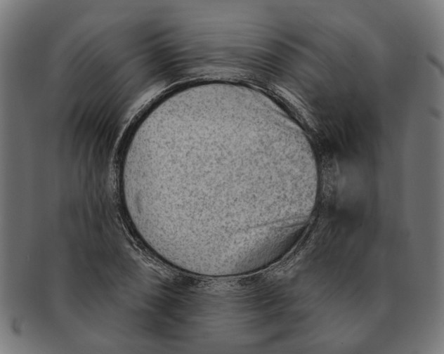 X0000091231074200709061514