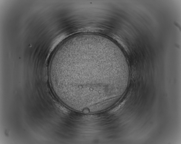X0000091231075200709061514