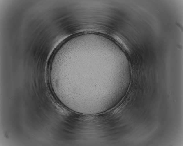 X0000091231076200709061514