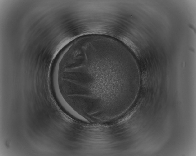 X0000091231077200709061514