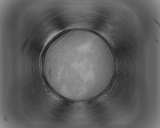 X0000091231078200709061514