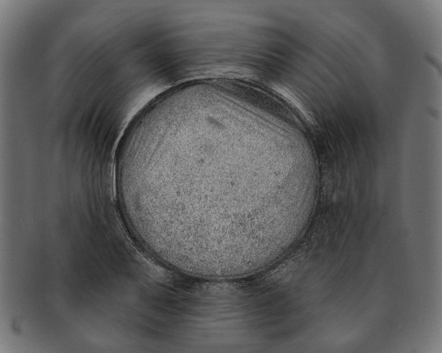 X0000091231079200709061514