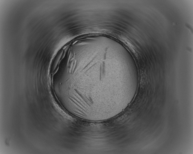 X0000091231080200709061514