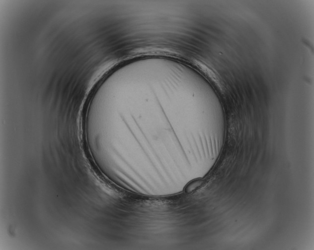 X0000091231082200709061514