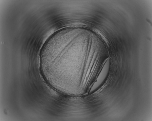 X0000091231083200709061514