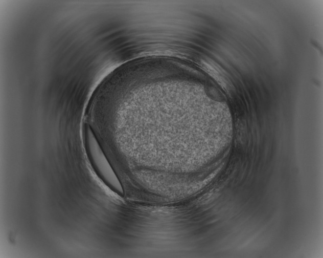 X0000091231084200709061514