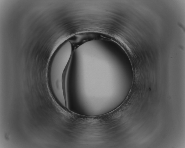 X0000091231085200709061514