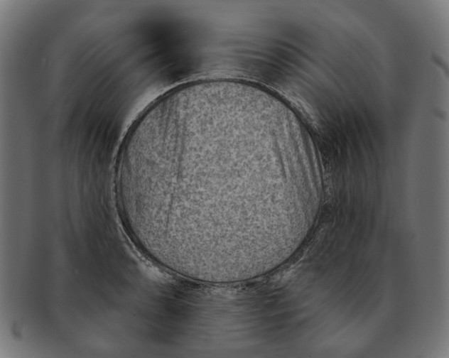 X0000091231086200709061514