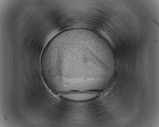 X0000091231087200709061514
