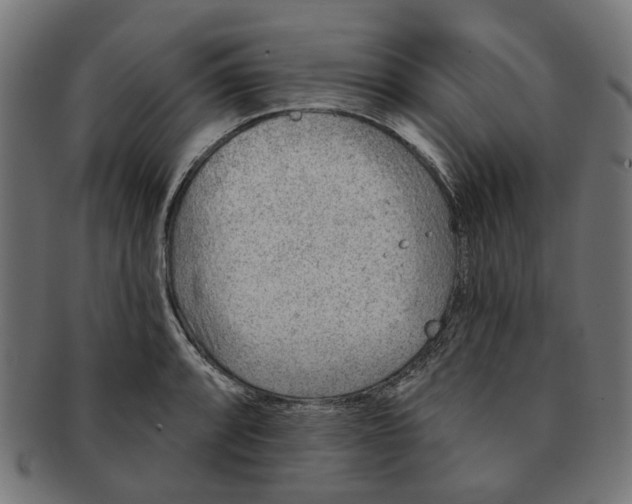 X0000091231088200709061514
