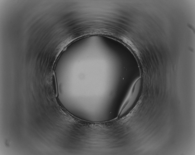 X0000091231089200709061514