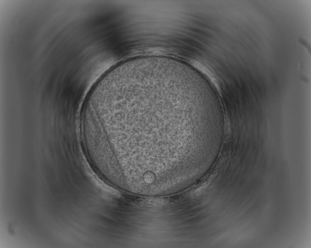 X0000091231090200709061514
