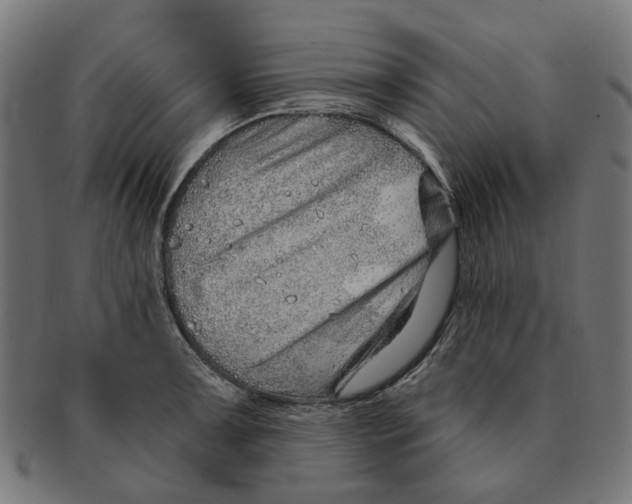 X0000091231091200709061514