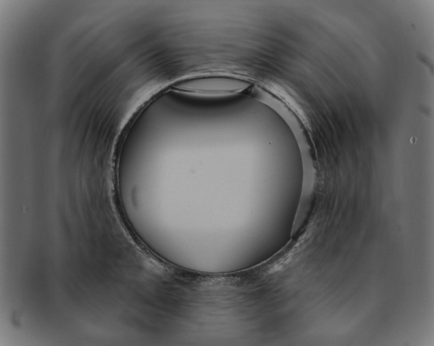 X0000091231093200709061514