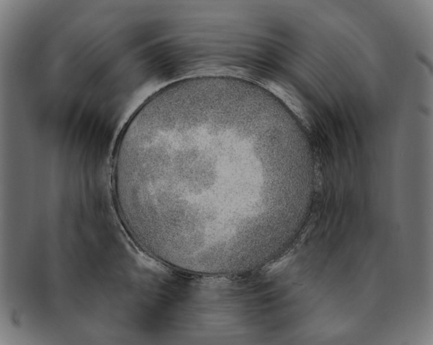 X0000091231094200709061514