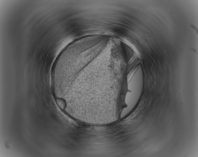 X0000091231095200709061514
