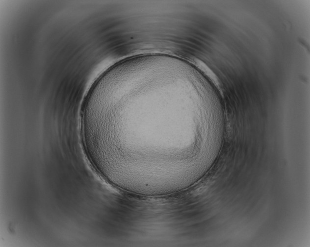 X0000091231096200709061514