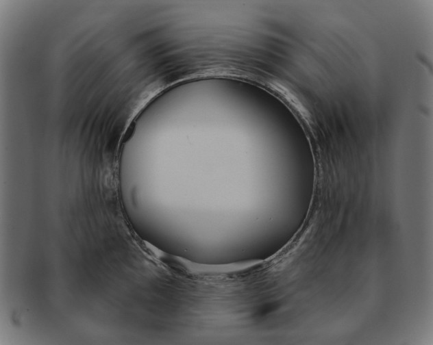 X0000091231097200709061514