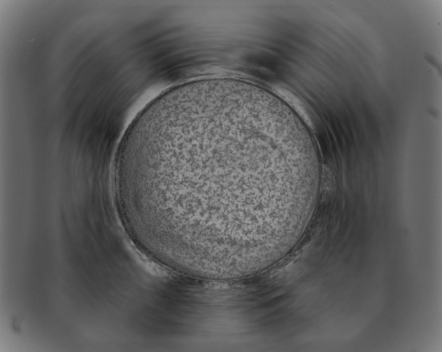 X0000091231098200709061514