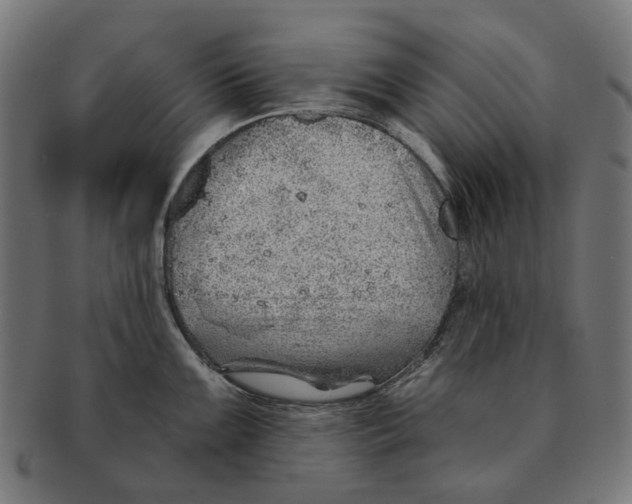 X0000091231099200709061514