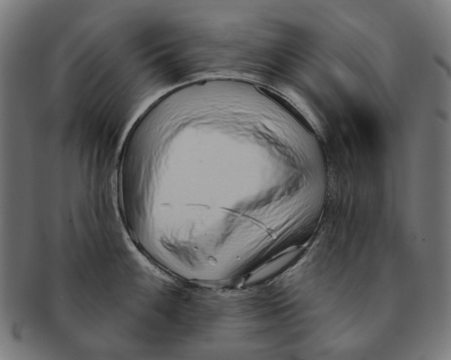 X0000091231100200709061514