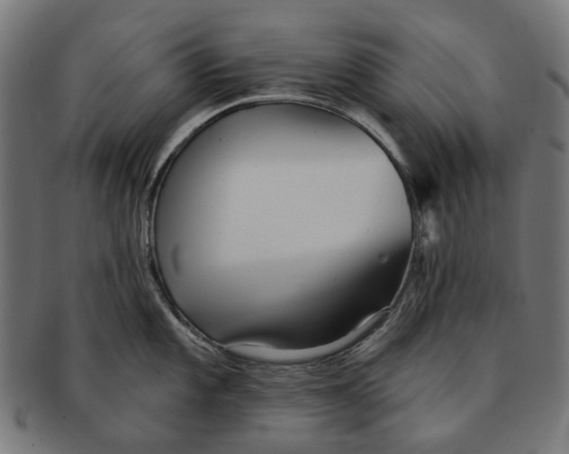 X0000091231101200709061514