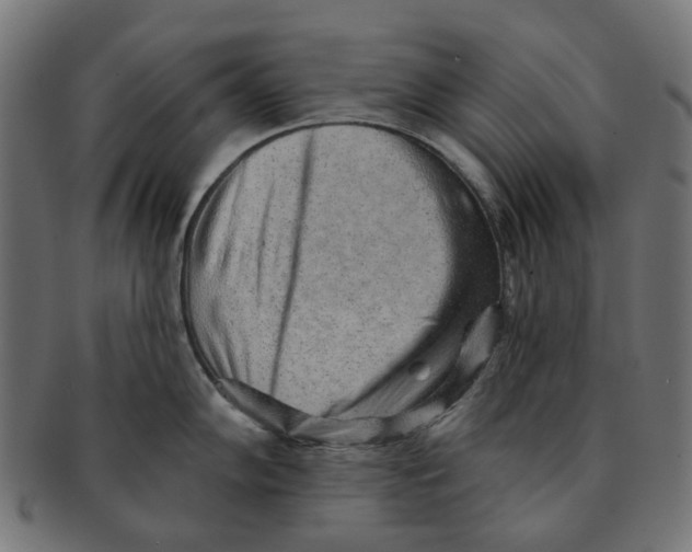 X0000091231102200709061514