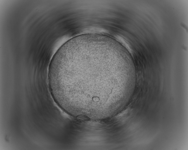 X0000091231103200709061514