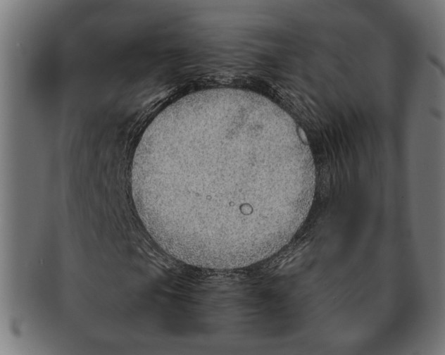 X0000091231105200709061513