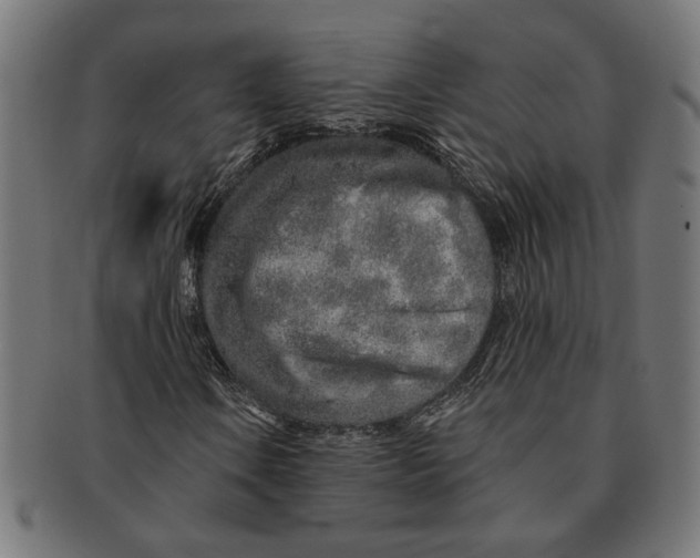 X0000091231106200709061513