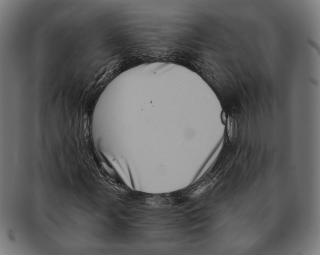 X0000091231107200709061514