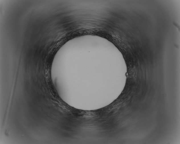 X0000091231109200709061514