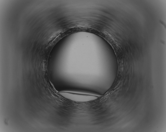 X0000091231110200709061514