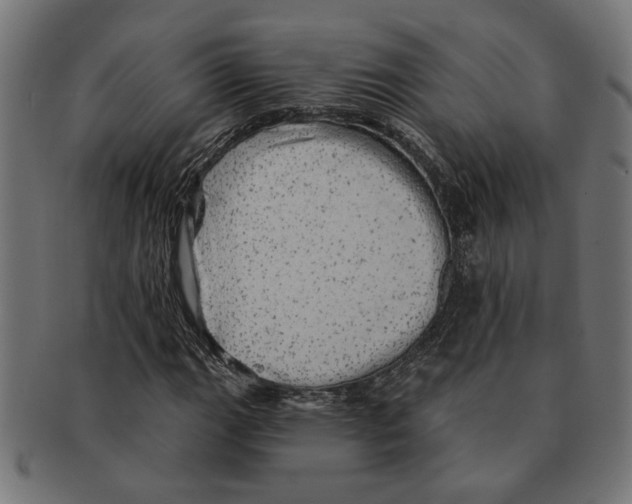 X0000091231111200709061514