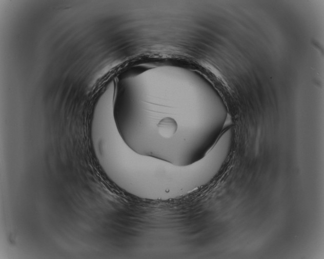 X0000091231112200709061514