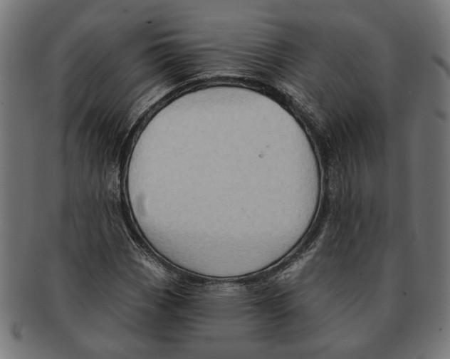 X0000091231113200709061514